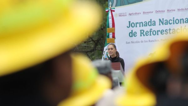 Elige Sheinbaum a Puebla para arrancar la mayor jornada de reforestaci&oacute;n del pa&iacute;s