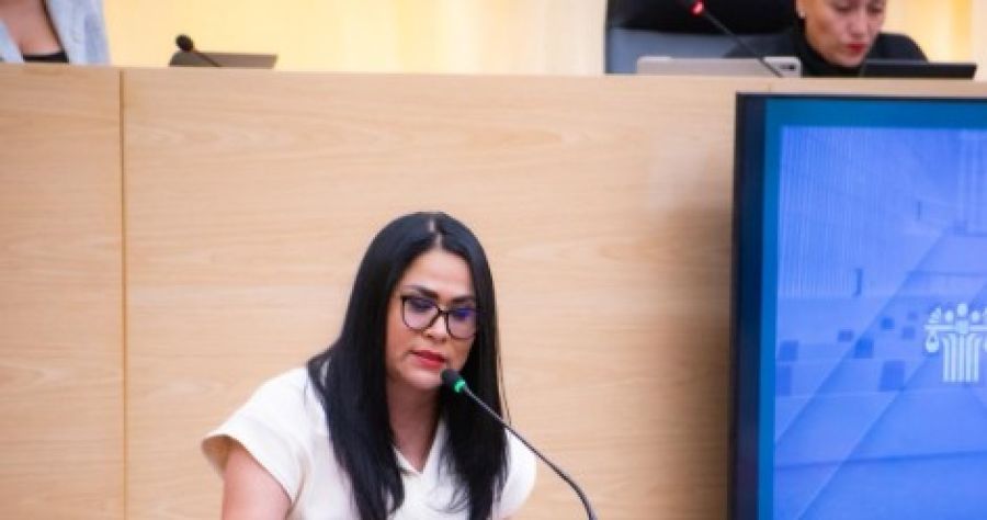 Presenta Fedrha Suriano iniciativa para prevenir y sancionar el embarazo infantil y adolescente