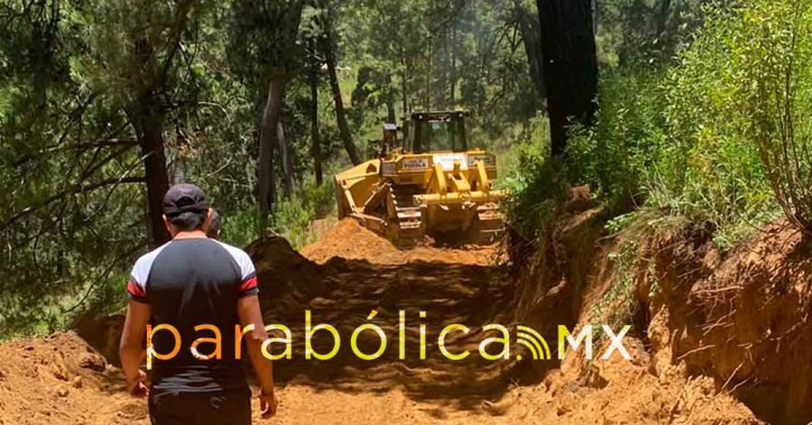 Intervienen Medio Ambiente y PC estatal mil 603 kil&oacute;metros de brechas cortafuego en 14 municipios