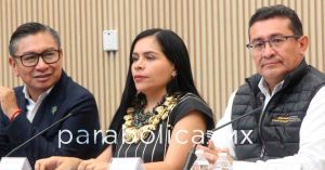 Atender&aacute;n focos rojos por consumo de cristal en menores de la Sierra Norte