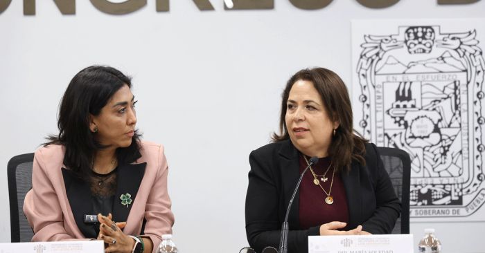 Capacitaci&oacute;n para evitar discriminaci&oacute;n a personas con discapacidad, aprueban en Comisi&oacute;n del Congreso