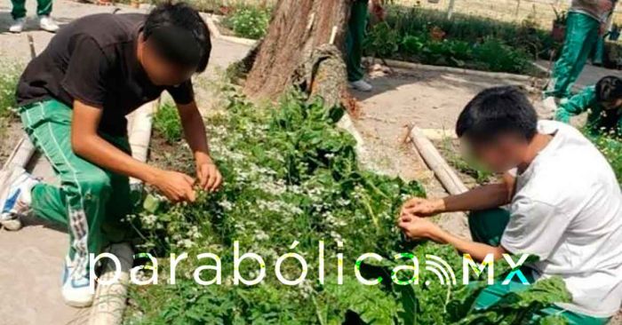 Generar&aacute; el Cableb&uacute;s un nuevo pulm&oacute;n para la ciudad de Puebla: Garc&iacute;a Parra