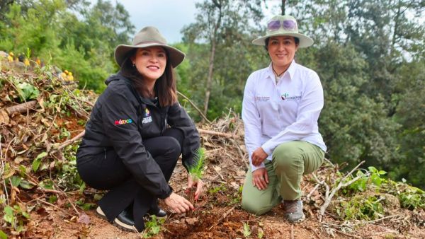 Zacatl&aacute;n, presente en la Jornada Nacional de Reforestaci&oacute;n 2026