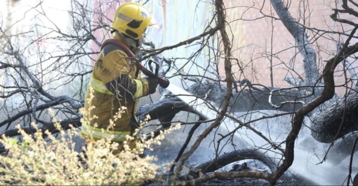 Atienden en Cuautlancingo incendio de pastizal
