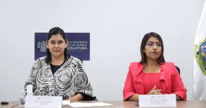 Avala Comisi&oacute;n del Congreso mayor inclusi&oacute;n en la convocatoria del Premio Estatal de la Juventud