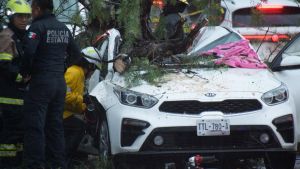Deja ca&iacute;da de &aacute;rbol una persona muerta en la Recta a Cholula