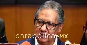 Listo Senado para el an&aacute;lisis tem&aacute;tico del Segundo Informe de Sheinbaum: Higinio Mart&iacute;nez