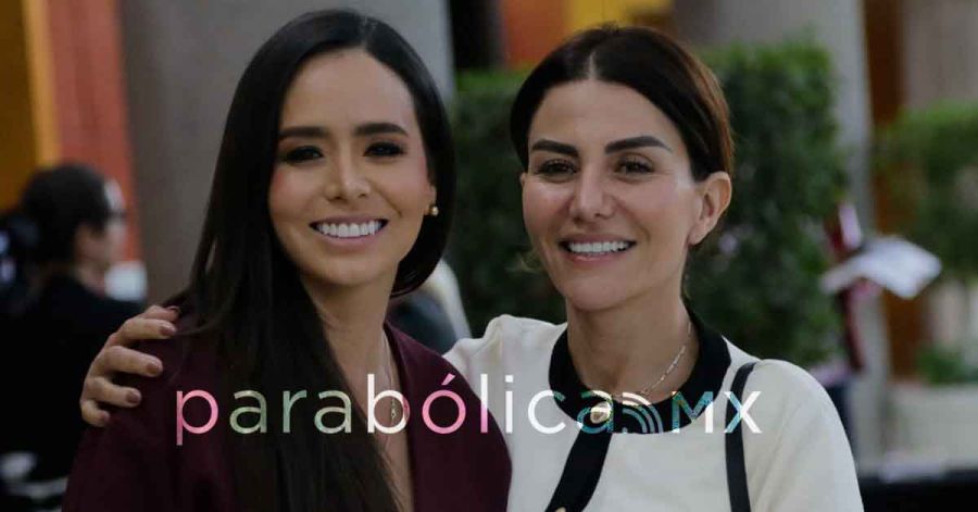 Pone Morena en duda el futuro pol&iacute;tico de Salvatori y Palomares