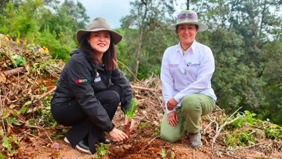 Certifican a ejido de Poxcuatzingo, Zacatl&aacute;n, por manejo forestal