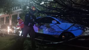 Despliega Comuna acciones y atenci&oacute;n inmediata a reportes por lluvias