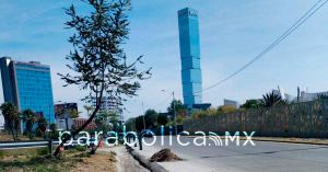 Realiza Gobierno de Pepe Chedraui acciones de limpieza en el Bulevar Municipio Libre