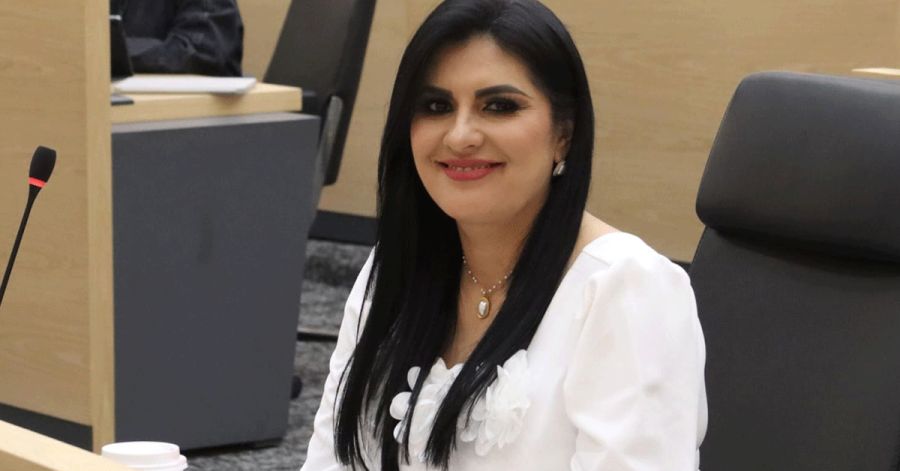 Propone Defina Pozos elevar las sanciones por el delito de abandono de persona