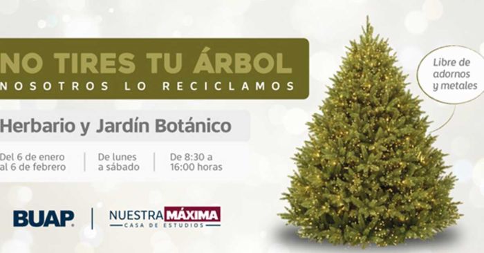 Colecta BUAP &aacute;rboles de Navidad para elaboraci&oacute;n de composta