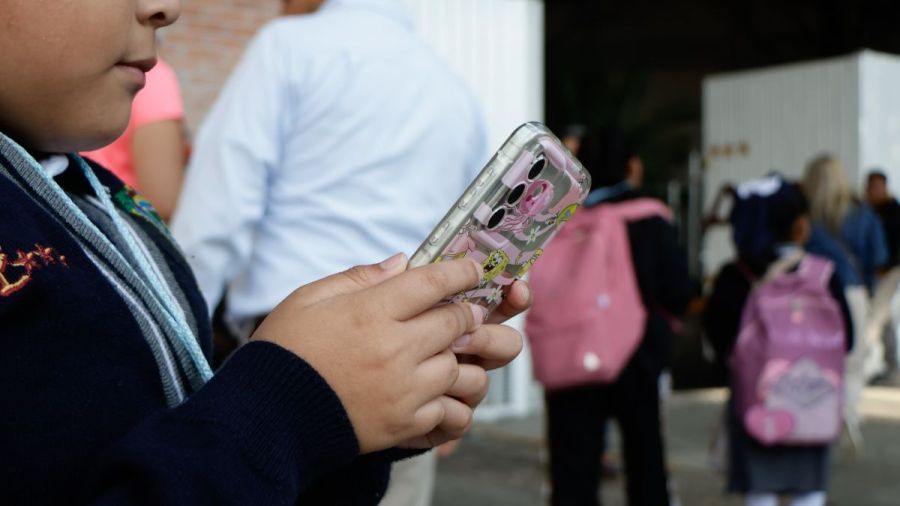 Exposici&oacute;n a pantallas reducen el desempe&ntilde;o escolar: Rosa Mar&iacute;a Lechuga