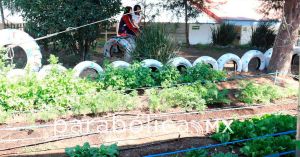 Impulsa Pepe Chedraui primera jornada de capacitaci&oacute;n ambiental en escuelas con huertos escolares
