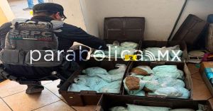 Celebra Sara Carter, la &ldquo;zar&rdquo; anti drogas de Trump, importante decomiso de fentanilo en M&eacute;xico