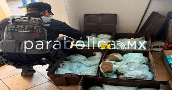 Celebra Sara Carter, la &ldquo;zar&rdquo; anti drogas de Trump, importante decomiso de fentanilo en M&eacute;xico