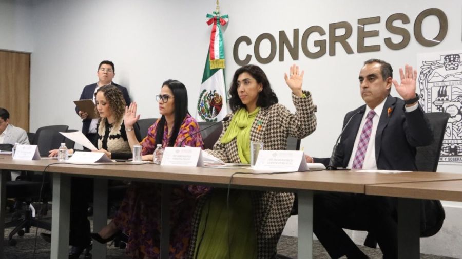 Avala Comisi&oacute;n prohibir el castigo humillante como m&eacute;todo de crianza