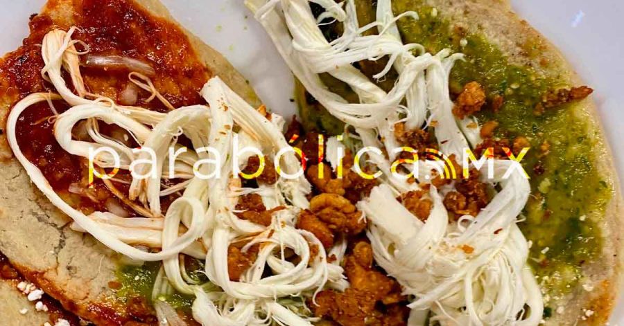 Llevan a la C&aacute;mara de Diputados el anuncio del 16&ordm; Festival de la Gordita