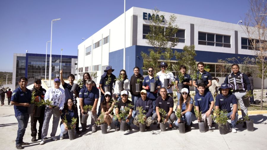 Realizan alumnos de la BUAP reforestaci&oacute;n en CU2