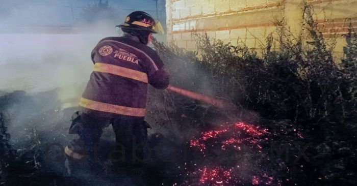 Sofocan incendio de pastizal en colonia Miguel Guadalupe