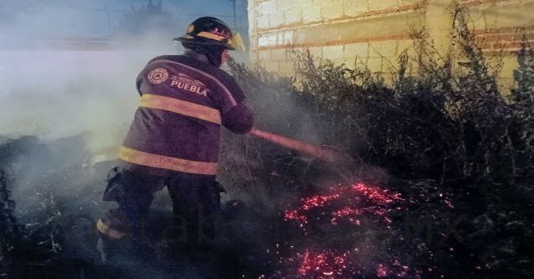 Sofocan incendio de pastizal en colonia Miguel Guadalupe