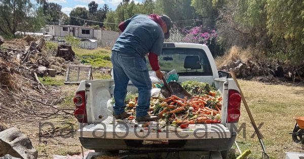 Impulsa Gobierno de Pepe Chedraui proyecto de lombricomposta en la capital