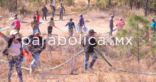 Propone PVEM que el 18 de cada mes sea el D&iacute;a Estatal del Combatiente Forestal