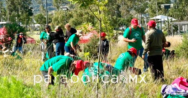 Impulsa Pepe Chedraui la reforestaci&oacute;n en Puebla capital con Ra&iacute;ces del Futuro