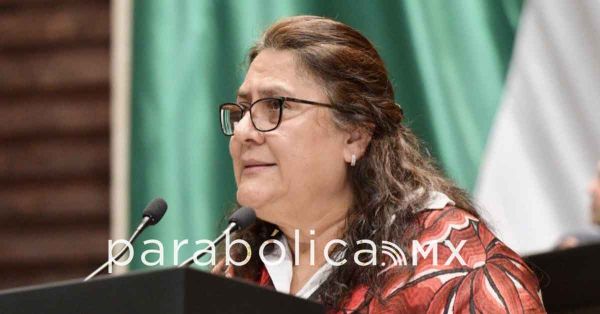 La palabra se cumple, dice&nbsp;Rosario Orozco a PT y PVEM sobre la Reforma Electoral