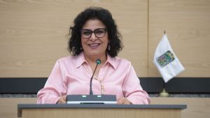 Sanciones por delitos patrimoniales vs adultos mayores: Yamak Taja
