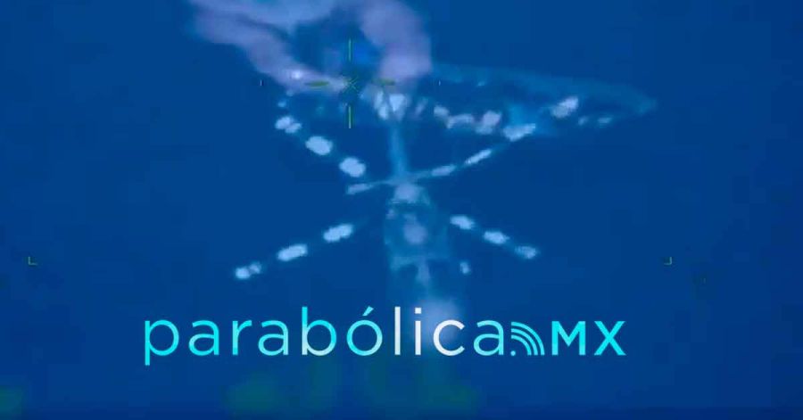 Asegura la Marina 4 toneladas de cocaina en Chiapas y Oaxaca: Harfuch
