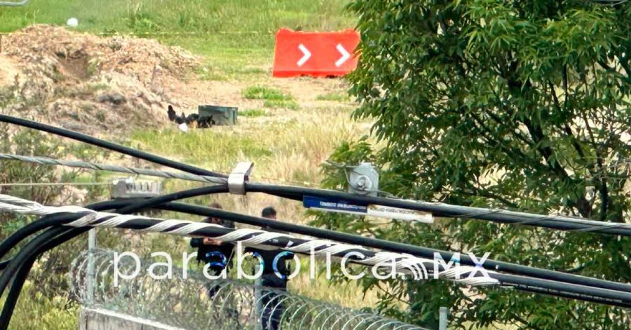 Solo un torso, un brazo y una pierna, en restos hallados en Perif&eacute;rico