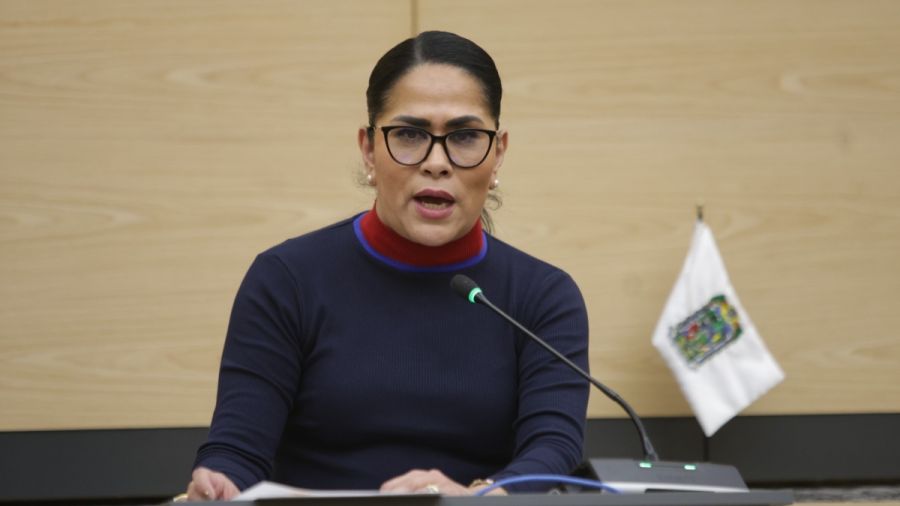 Plantean foros sobre el Polo de Desarrollo en San Jos&eacute; Chiapa