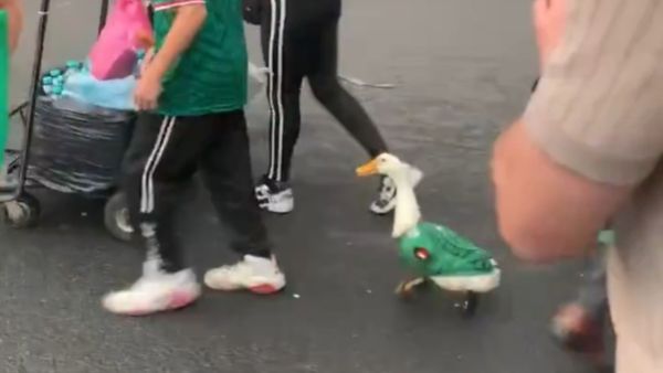 Pululan mascotas virales del Mundial; a las oficiales ni las pelan