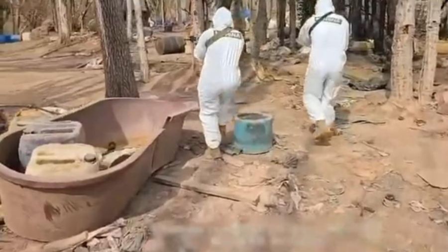 Desmantelan 5 laboratorios clandestinos en Jalisco, Nayarit y Sinaloa