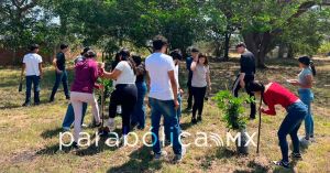 Superan los 500 mil j&oacute;venes en la Jornada Nacional de Tequios por la Transformaci&oacute;n