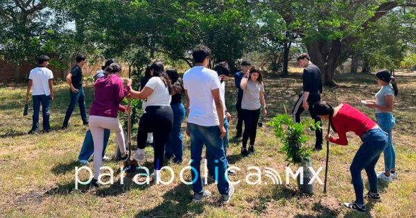 Superan los 500 mil j&oacute;venes en la Jornada Nacional de Tequios por la Transformaci&oacute;n