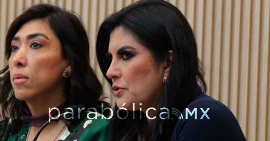 Buscan derogar la Ley Casco no &ldquo;parcharla&rdquo;: Delfina Pozos