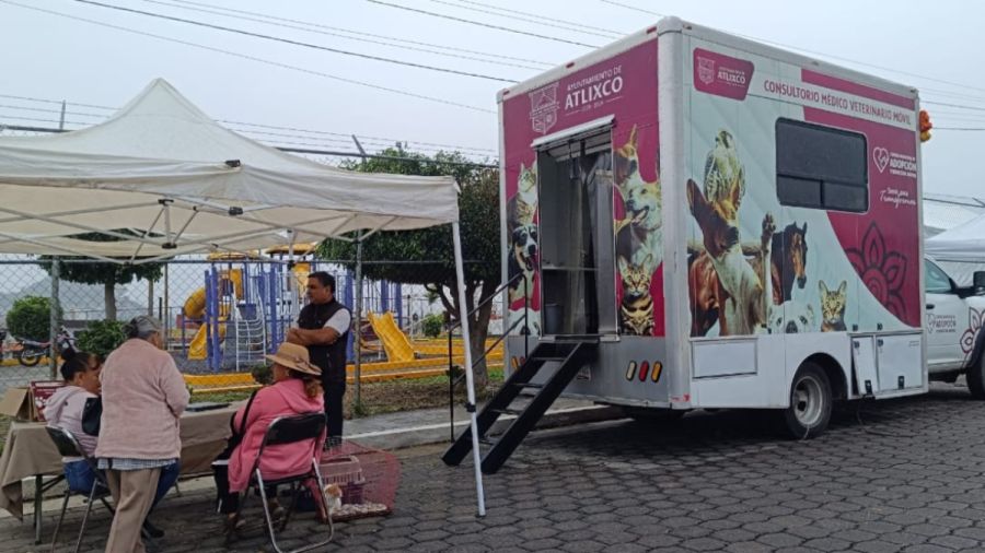 Promueve alcaldesa de Atlixco jornada de esterilizaci&oacute;n animal