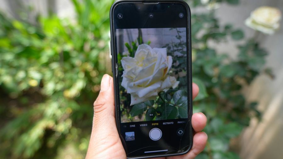 Ayuntamiento convoca al concurso de fotograf&iacute;a "Instantes de Juventud"