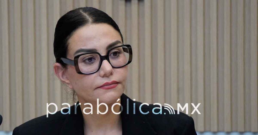 Sostiene Nay Salvatori cr&iacute;ticas a abuso policial en caso Ariana N, pero se deslinda de sus dichos