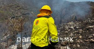 Celebra Marilyn Ballesteros el fortalecimiento de la capacidad operativa de la Polic&iacute;a Forestal