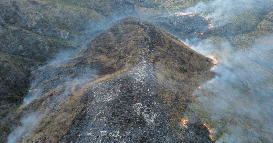 Liquidan incendio forestal en Tulcingo del Valle; da&ntilde;&oacute; 70 hect&aacute;reas