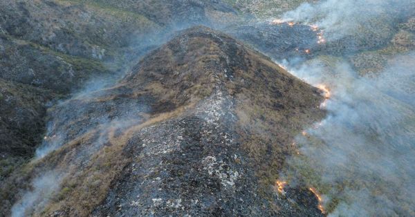 Liquidan incendio forestal en Tulcingo del Valle; da&ntilde;&oacute; 70 hect&aacute;reas
