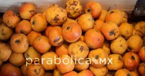 Tejocote poblano, de los mejores en el mundo