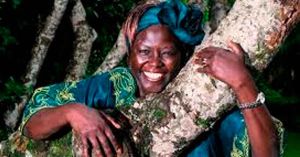 Wangari Maathai, el nombre que resuena
