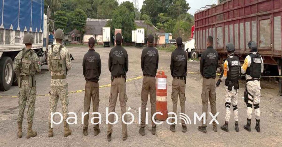 Aseguran Fuerzas federales un arsenal y media tonelada de cocaina en Chiapas