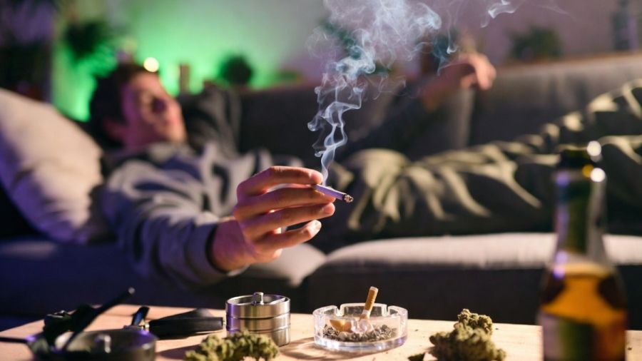 Alertan por normalizaci&oacute;n del consumo de la marihuana