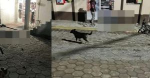 Se desata enfrentamiento en Felipe &Aacute;ngeles Puebla y deja tres personas muertas